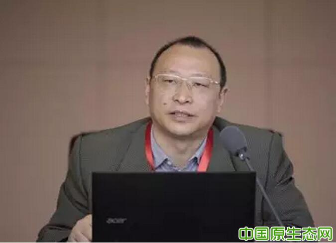 尹昌斌研究员以统筹农业绿色发展为主题,详尽介绍了在乡村振兴战略