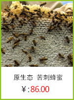 苦刺蜂蜜.jpg
