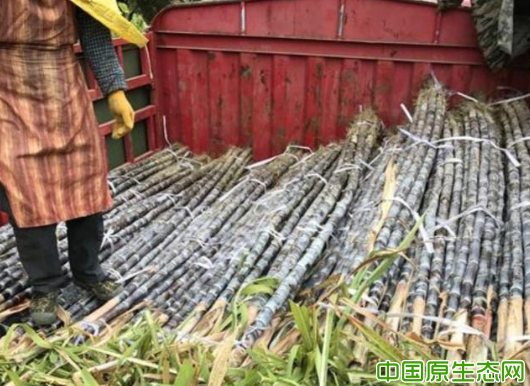 微信截圖_20190504195116.png