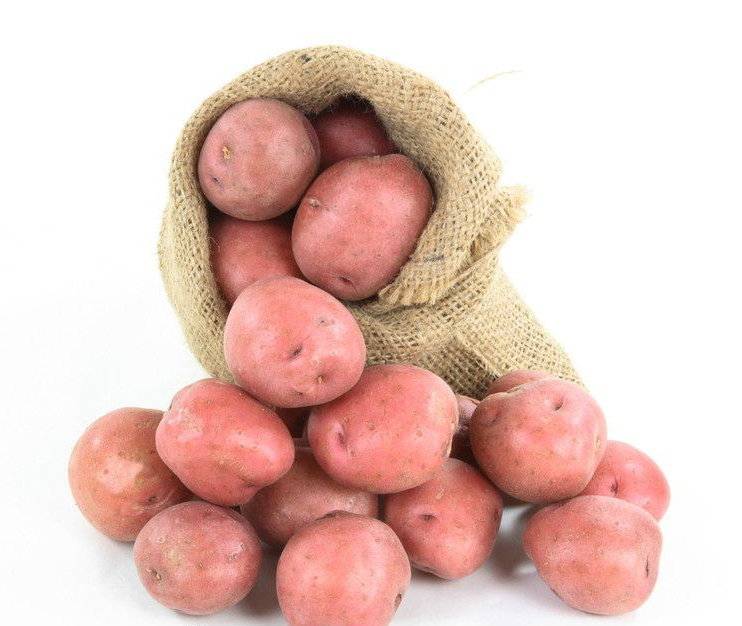 红皮马铃薯(土豆,洋芋)